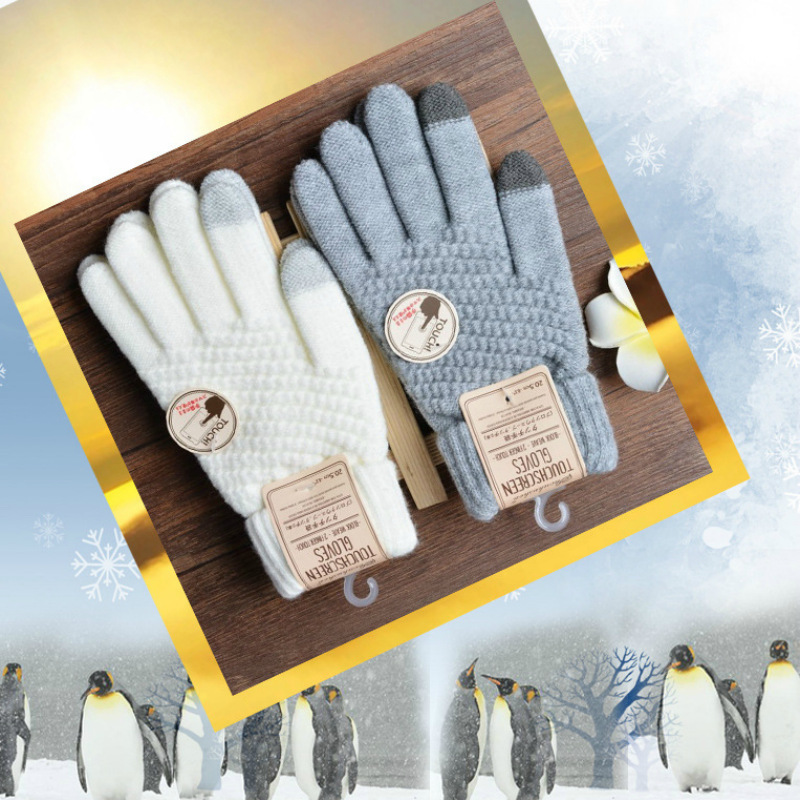 Gants Double couche en poils d - Magic Touch Glove avis et prix