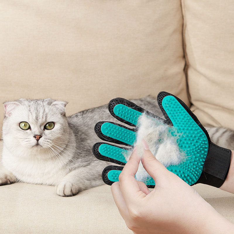 Gant de toilettage pour animau - Rubber Glove Cleaning avis et prix