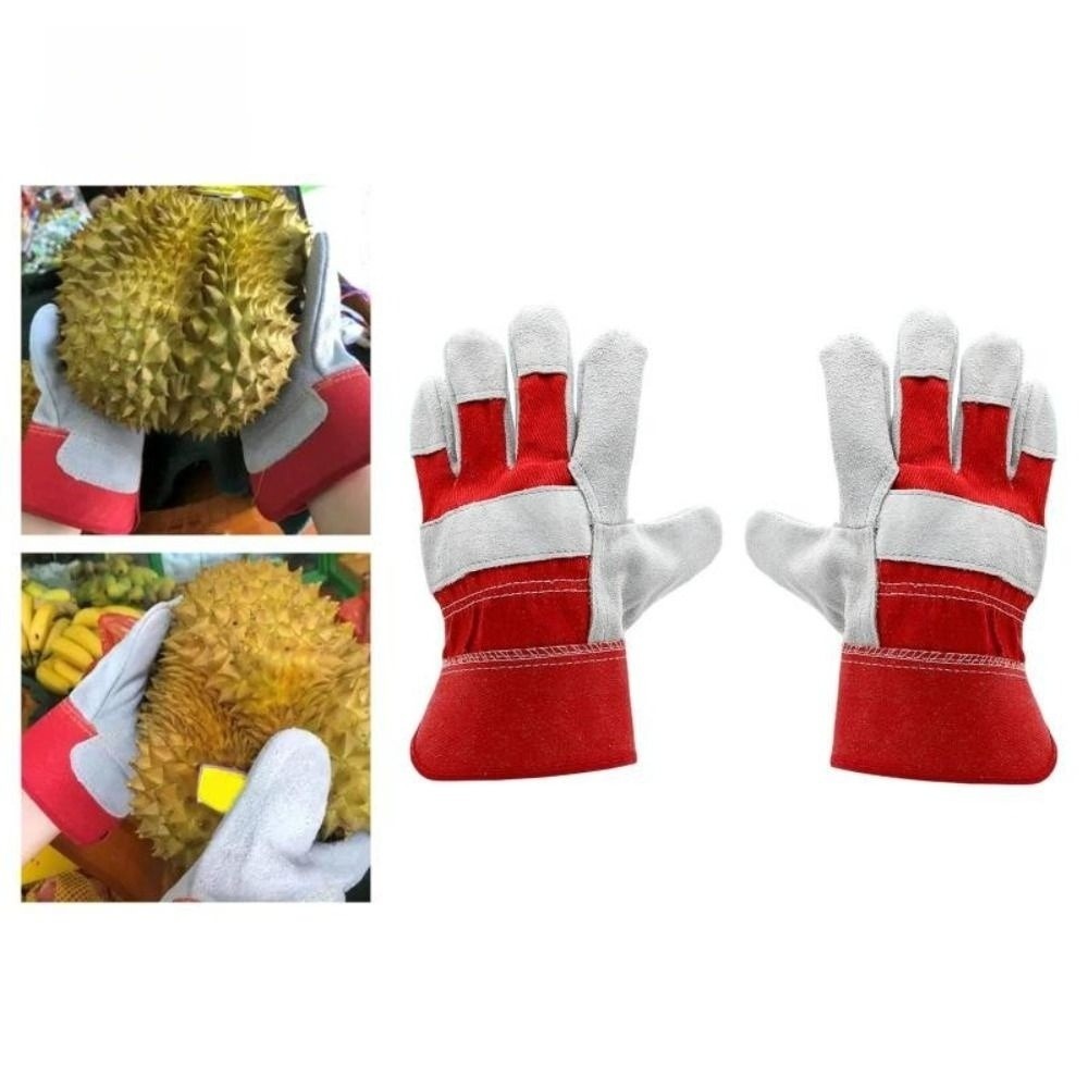 Gants de jardinage en cuir de  - Cut Resistant Glove avis et prix