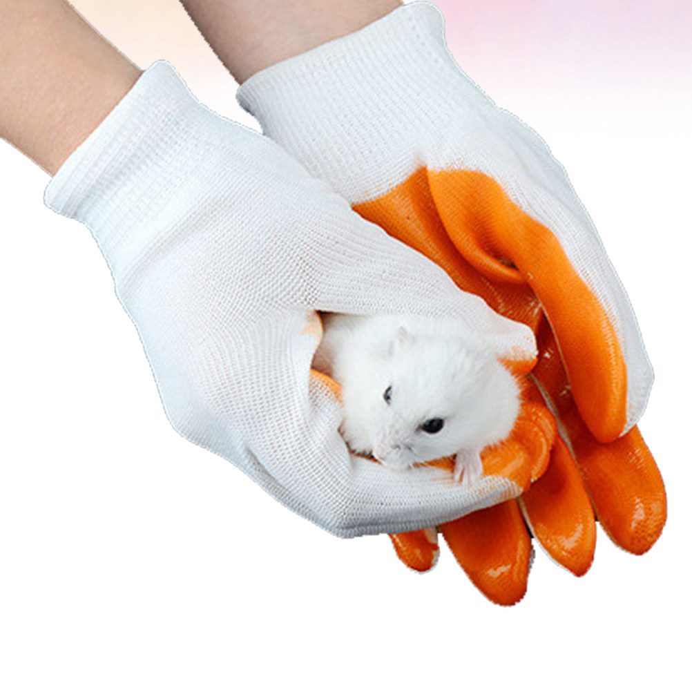 1 paire de gants anti-morsures - Cut Resistant Glove avis et prix